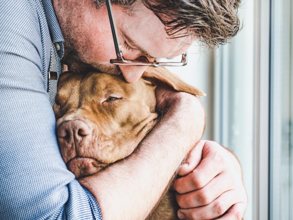 Saúde mental e pets: Eles podem ficar depressivos?