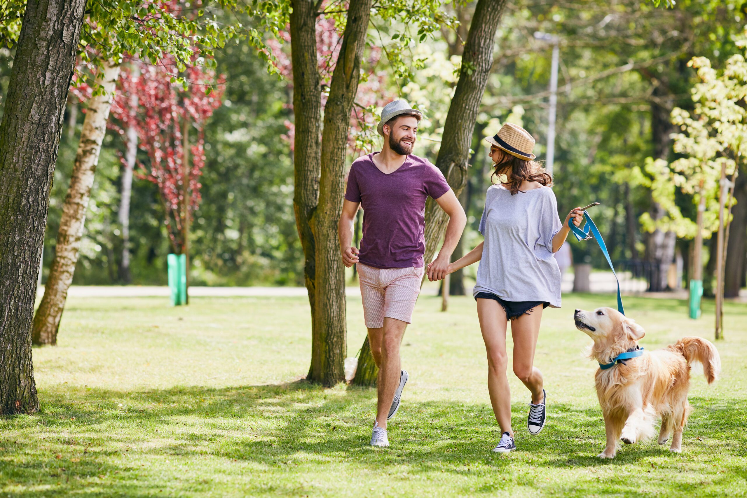 Passear com o pet é tudo de bom!