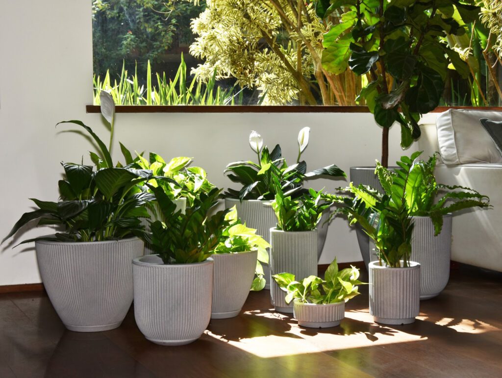 Não precisa ser do lado de fora para ter um ambiente cheio de plantas e flores. A única questão é saber como distribuí-las no lar