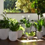 Não precisa ser do lado de fora para ter um ambiente cheio de plantas e flores. A única questão é saber como distribuí-las no lar