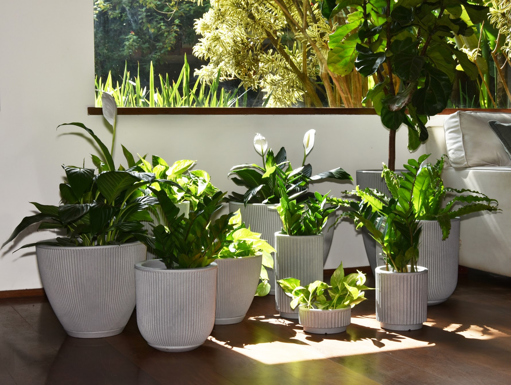 Plantas dentro do apartamento