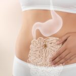 A saúde intestinal tem ganhado destaque nas pesquisas médicas pelo seu impacto no organismo, incluindo a imunidade e a fertilidade