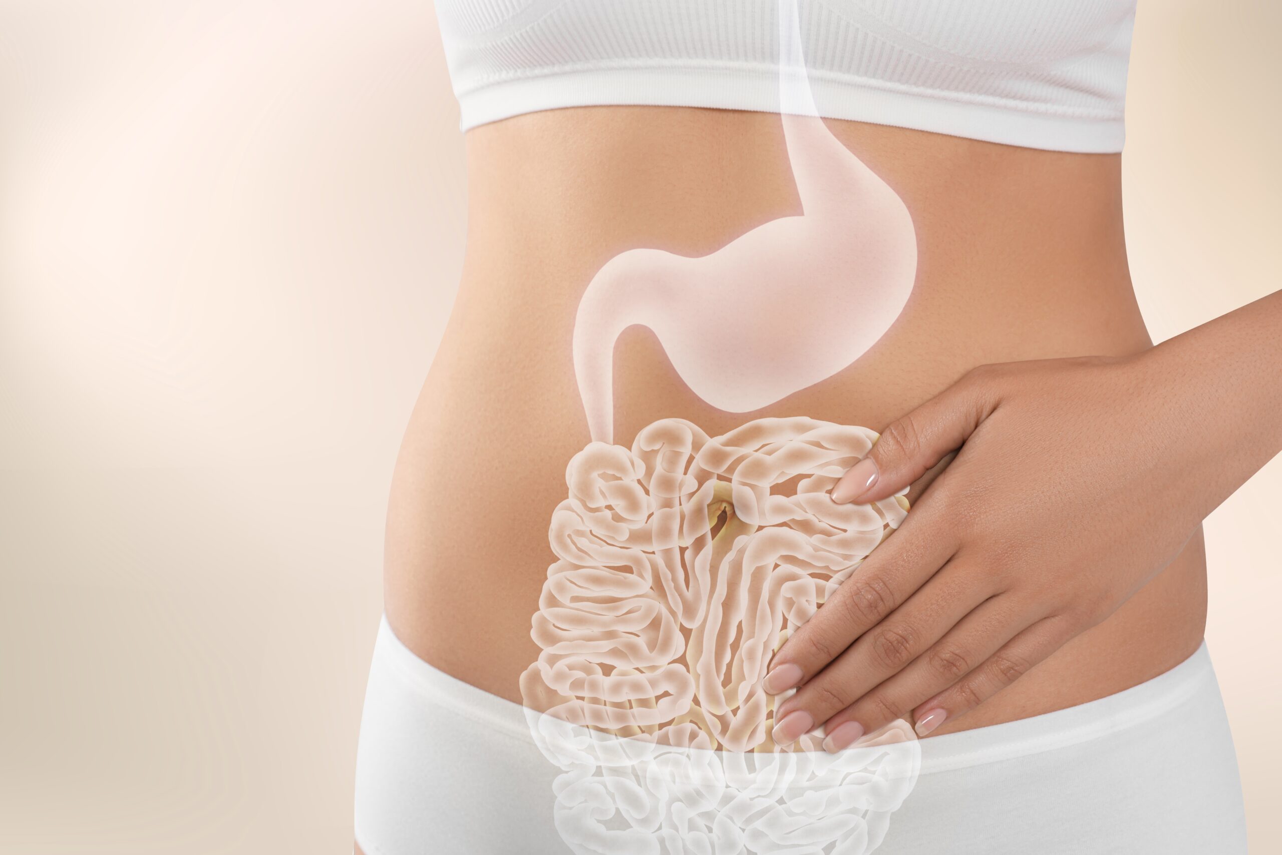 Saúde intestinal e fertilidade: uma conexão complexa