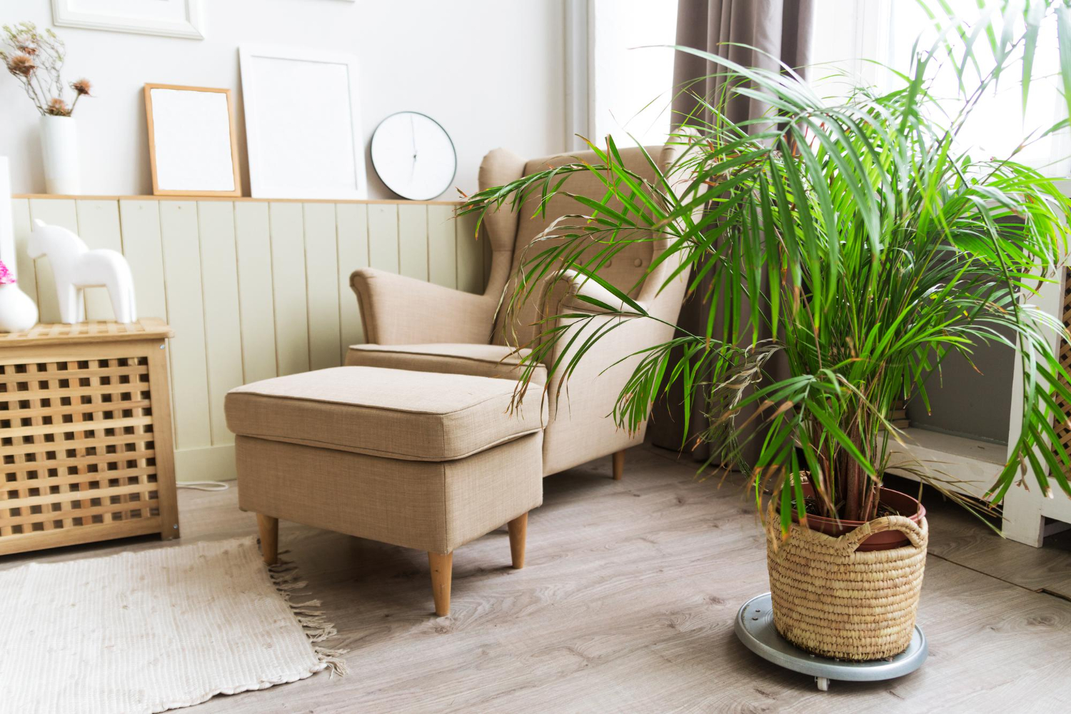 Feng Shui: como decorar com plantas e flores para chamar a sorte