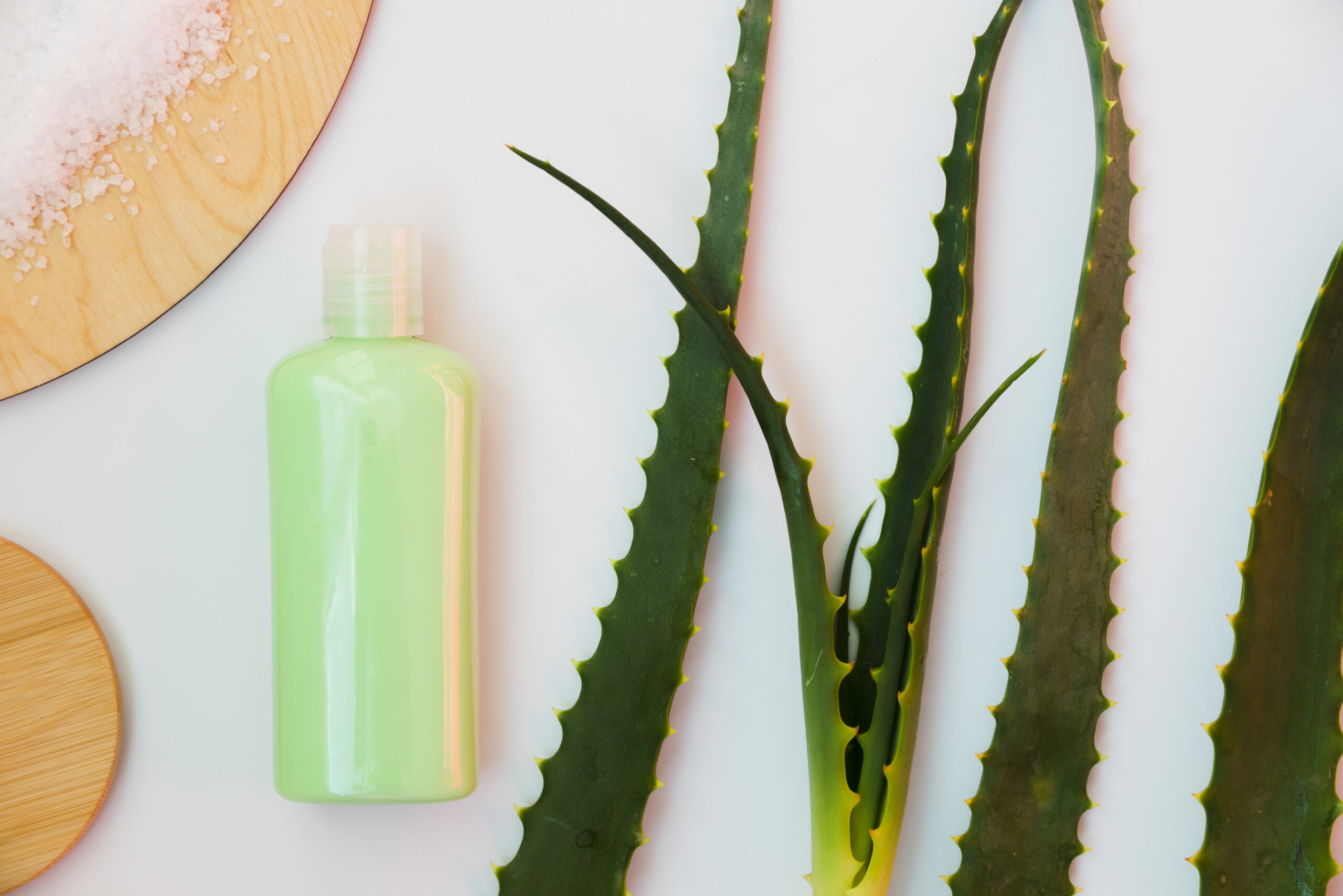 Descubra o poder da Aloe Vera nos cuidados medicinais da pele