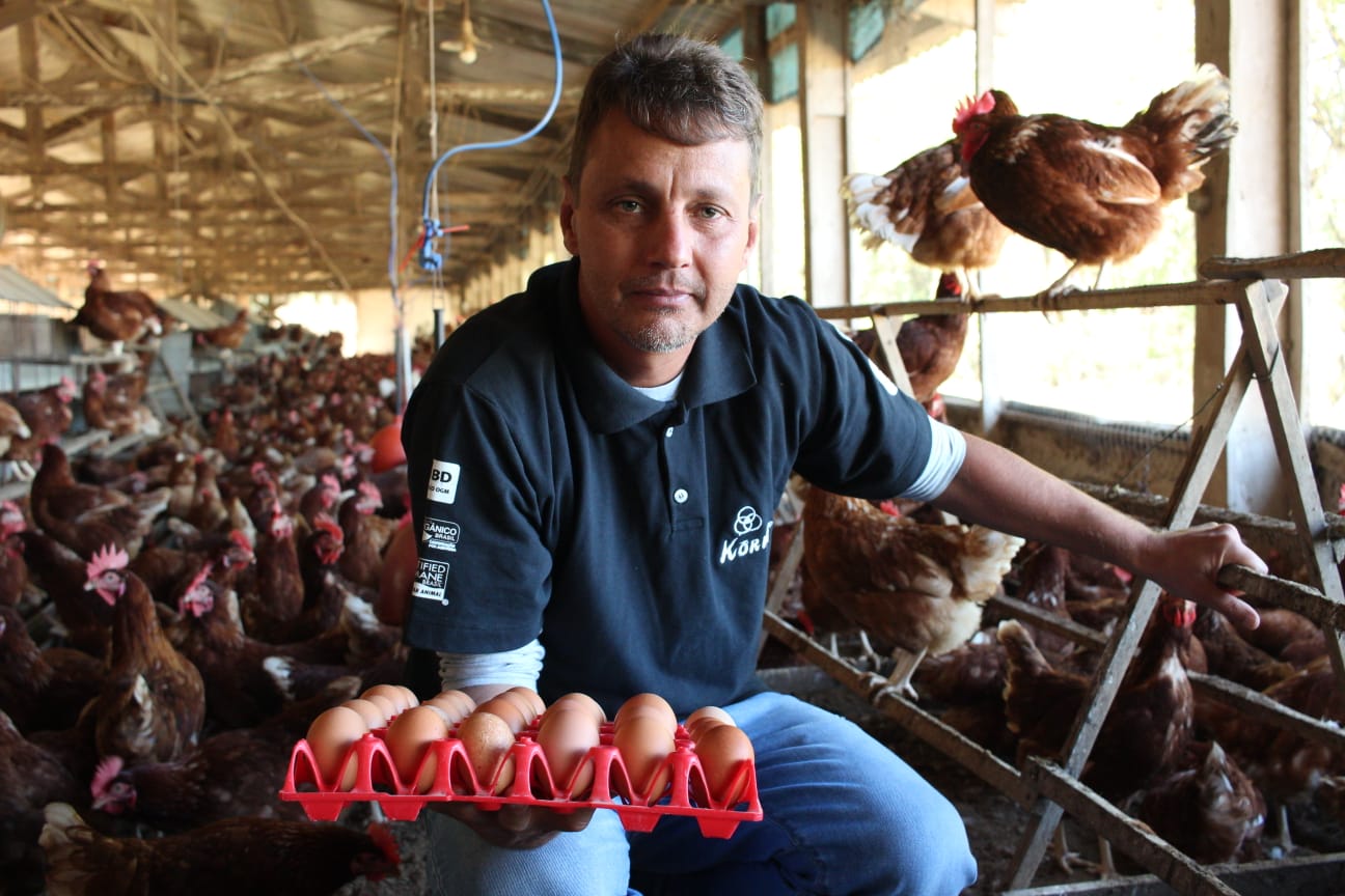 A importância da transparência na produção de alimentos