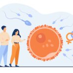 Entre uma FIV e outra: quanto tempo o corpo precisa para se recuperar?