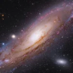 Portal 02/02: o que é e como usar a energia a seu favor