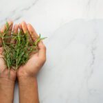 Rituais simples para começar 2026 com a energia renovada