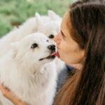 Você e seu pet: 3 dicas úteis para um “lambeijo” mais seguro