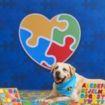 Conviver com cães pode contribuir na rotina de crianças autistas