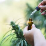 O THCV é um fitocanabinoide que ajuda a emagrecer