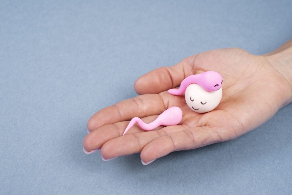 Fertilidade feminina: o autoconhecimento protege seu futuro