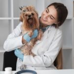 Seu pet precisa de especialista? Quando é a hora de agendar
